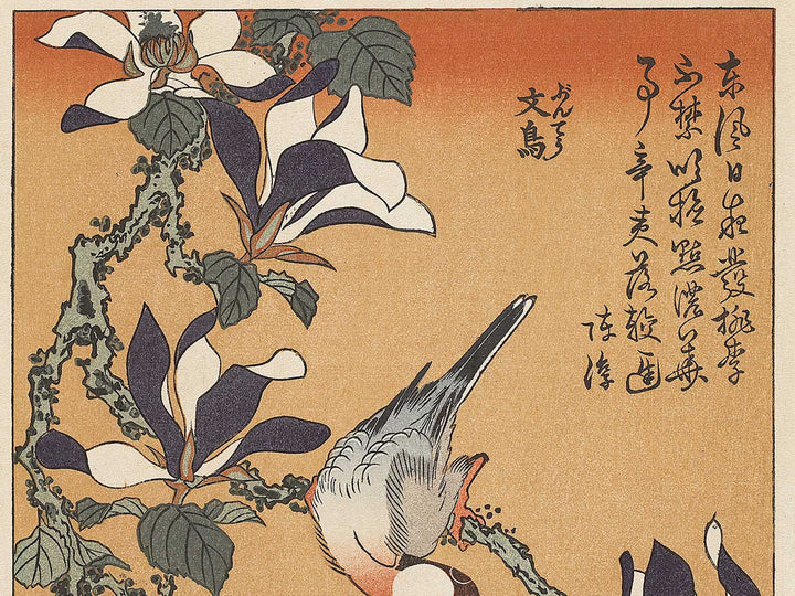 Buncho kobushi no hana by Katsushika Hokusai, (Large print size) / BJ331-674