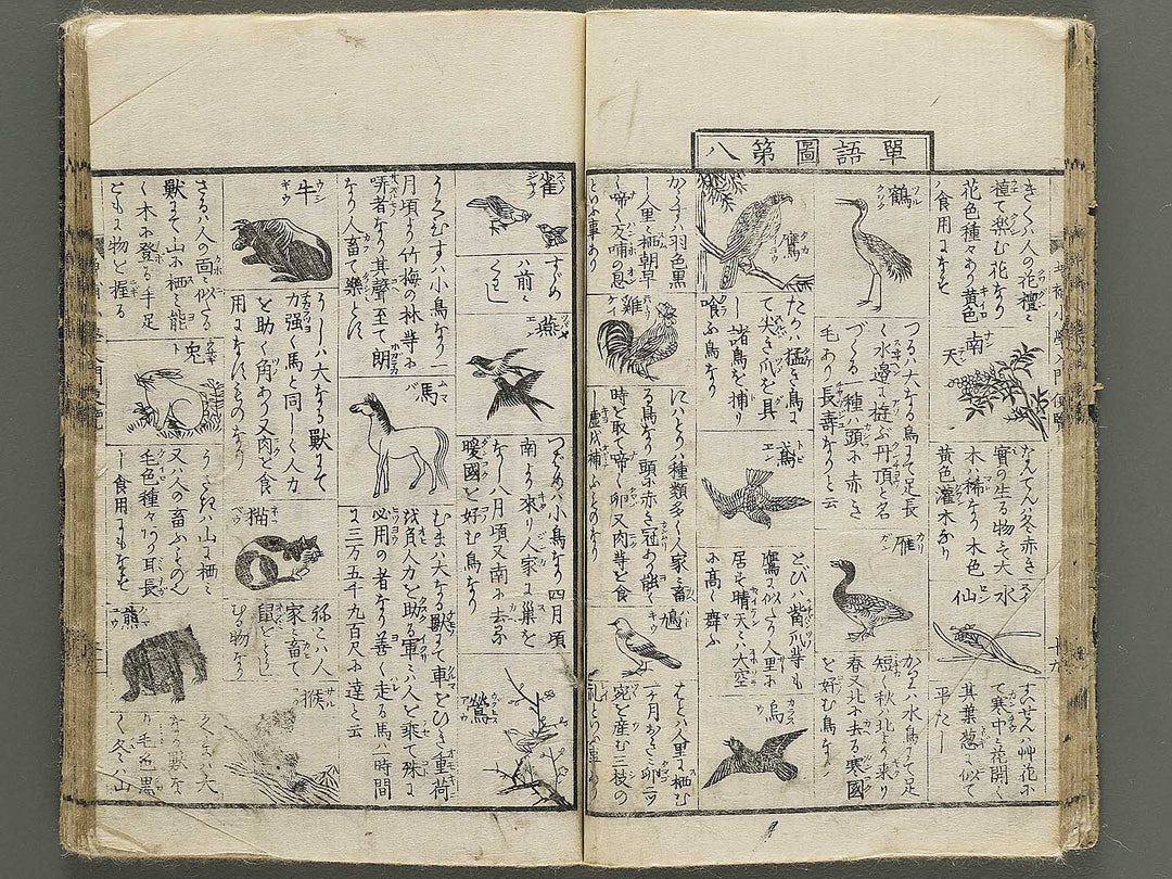 Shogaku nyumon binran / BJ350-350
