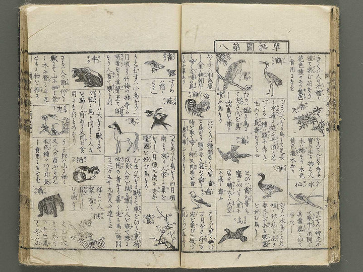Shogaku nyumon binran / BJ350-350