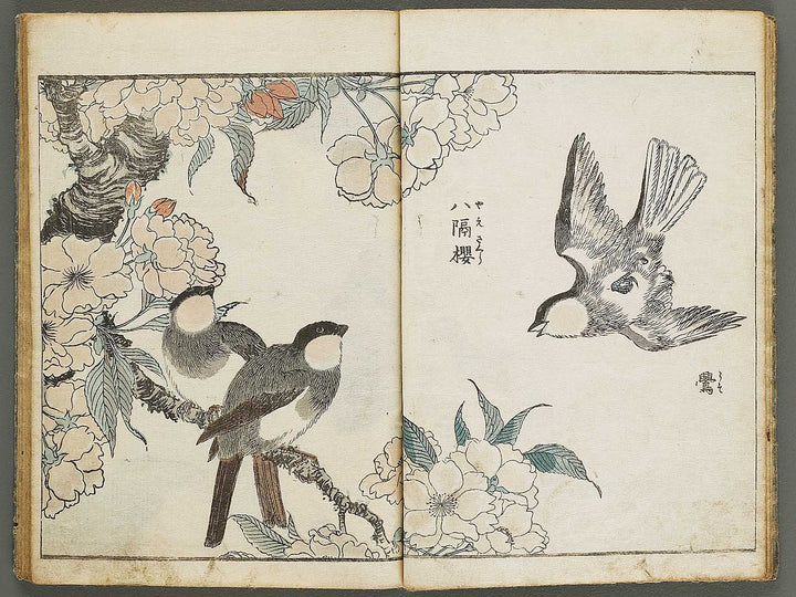 Kacho shashin zui by Kitao Shigemasa / BJ339-115