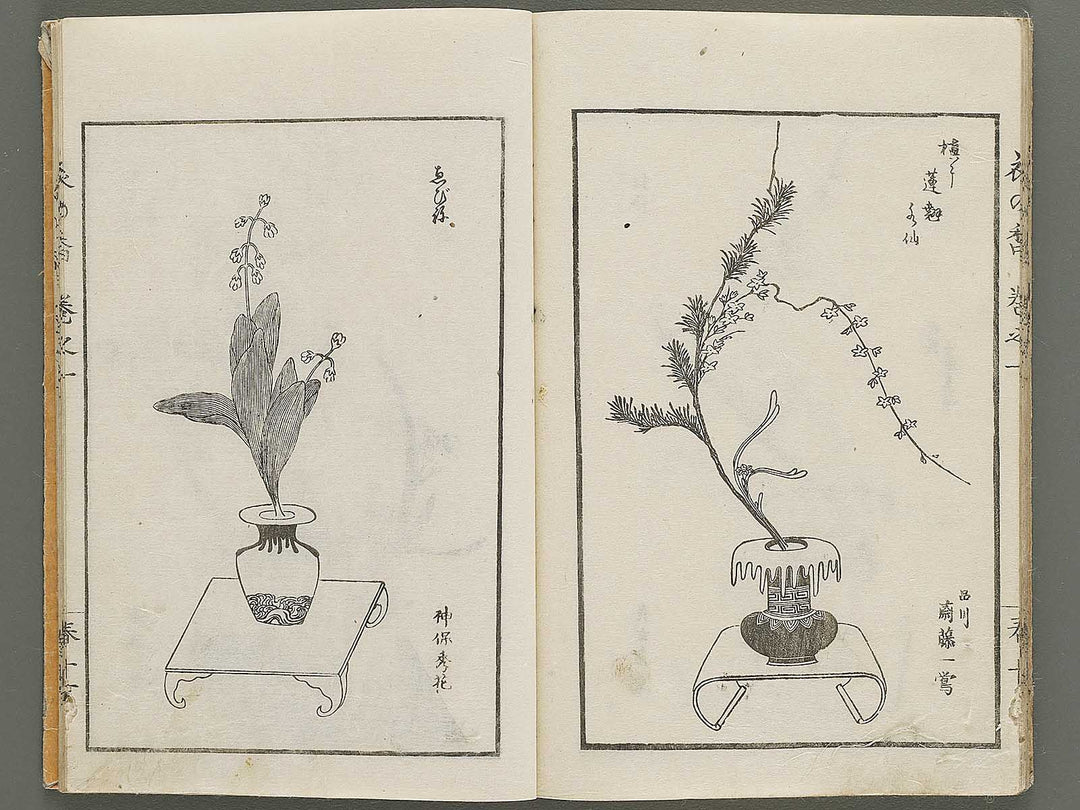 Soka koromonoka Volume 1 by Hishikawa Sori / BJ335-167