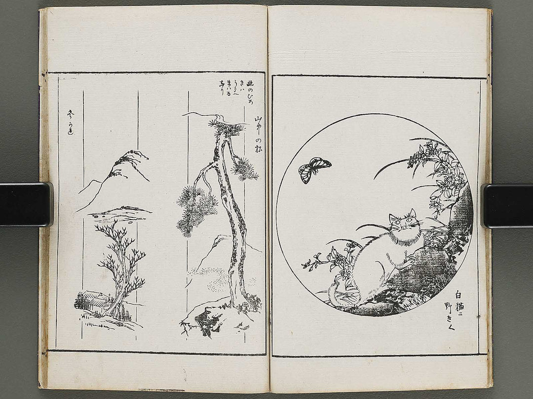 Shunzan gafu Volume 2 by Naoe Tokutaro / BJ318-360