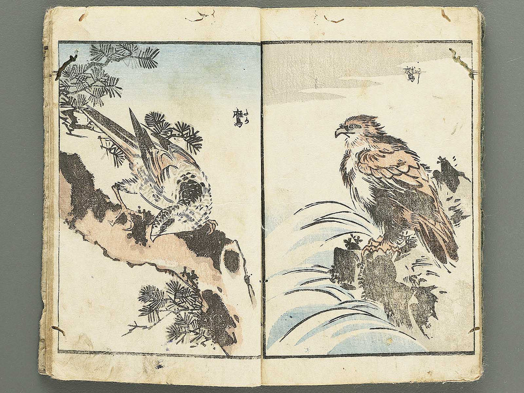 Yanagawa gafu (Kacho bu) by Yanagawa Shigenobu / BJ348-964