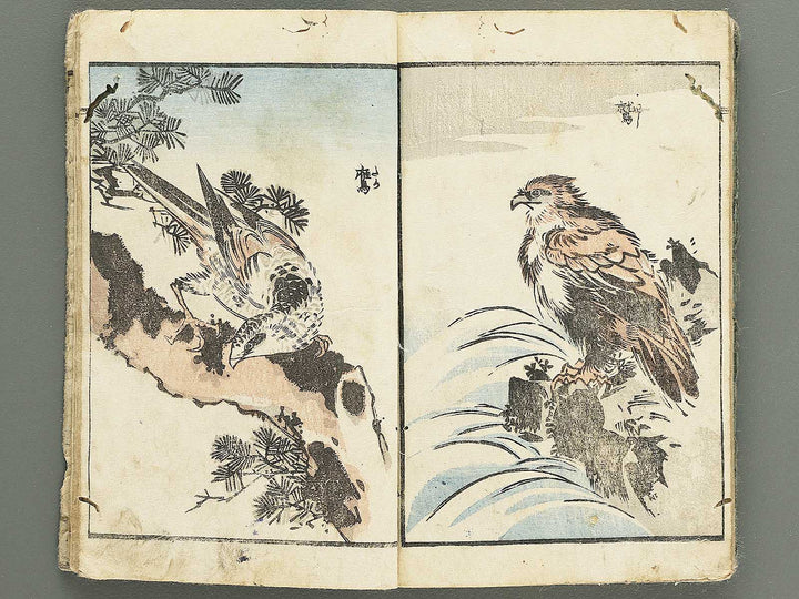 Yanagawa gafu (Kacho bu) by Yanagawa Shigenobu / BJ348-964
