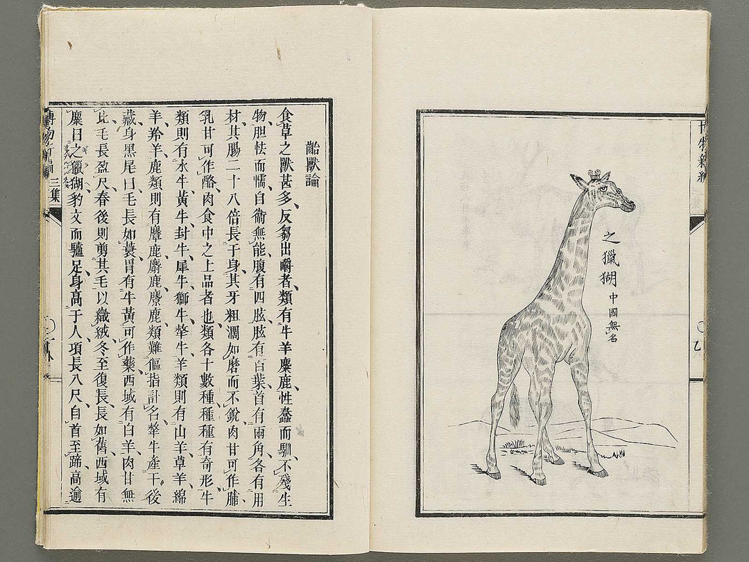 Hakubutsu Shinpen Volume 3 / BJ335-412