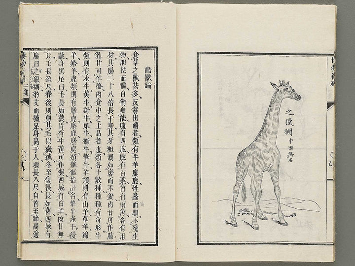 Hakubutsu Shinpen Volume 3 / BJ335-412