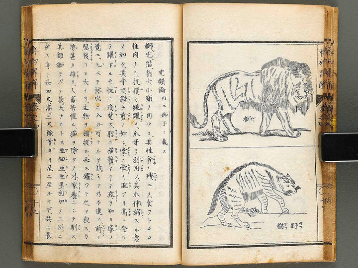 Hakubutsu shinpen yakkai Volume 4 / BJ326-879