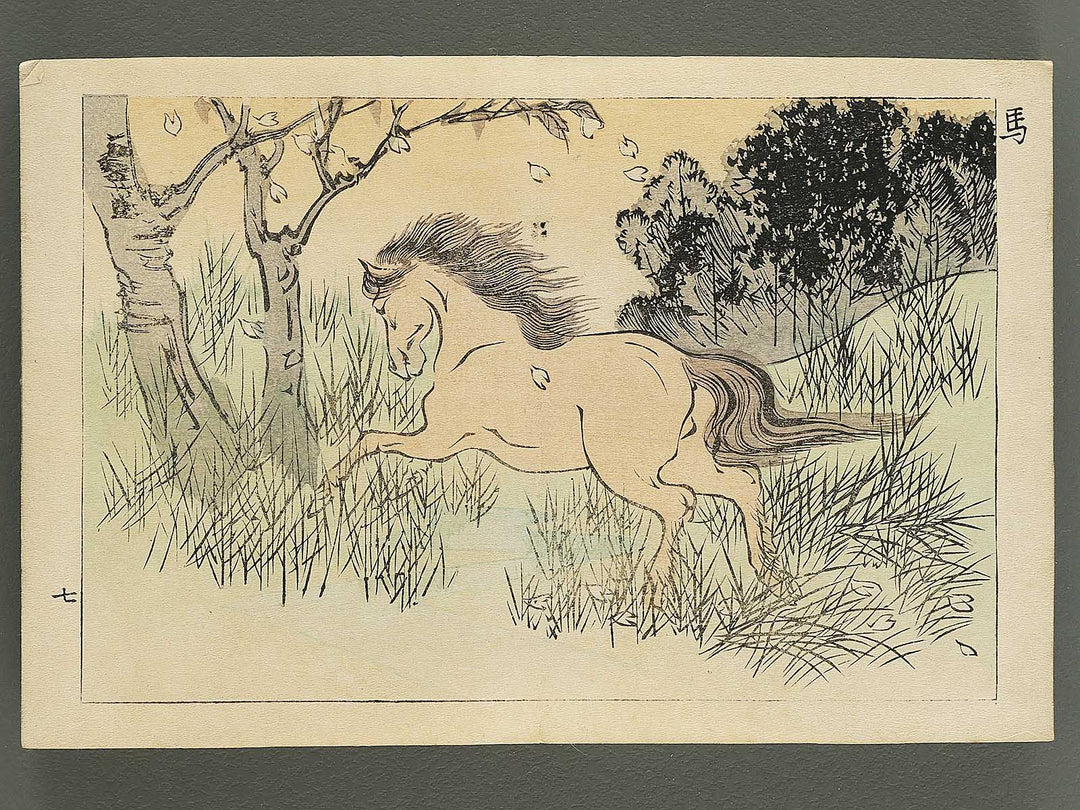 Saisyoku ehon kyoiku mukashi banashi, Kemono zukushi / BJ346-794