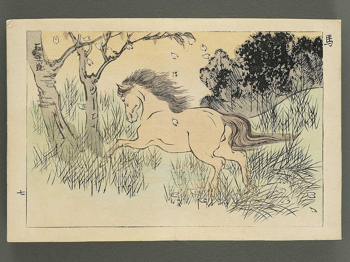 Saisyoku ehon kyoiku mukashi banashi, Kemono zukushi / BJ346-794