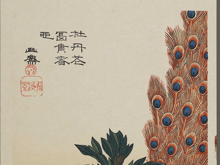 Paeony & Peacock by Utagawa Hiroshige, (Medium print size) / BJ328-181