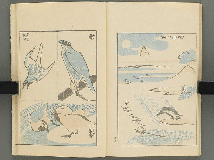 Ipptsu gafu by Katsushika Hokusai / BJ347-088