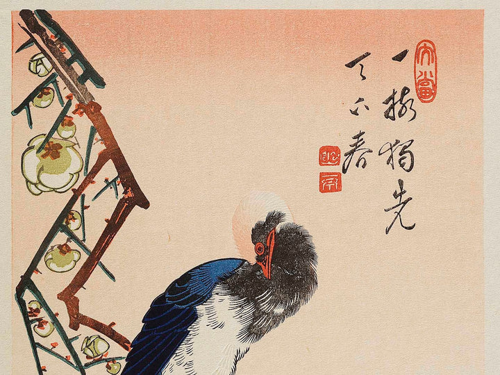 White plum blossoms & long tailed cock by Utagawa Hiroshige, (Medium print size) / BJ328-090