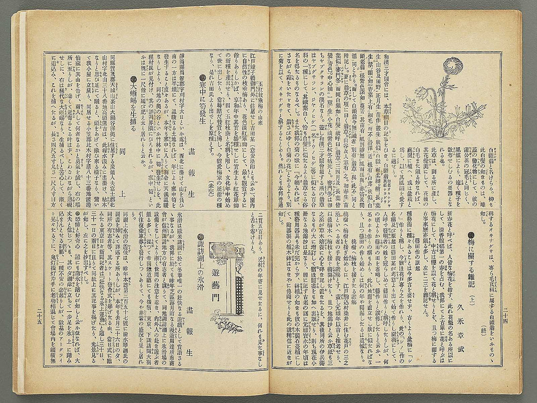 Fuzoku gaho Volume 379 / BJ348-502