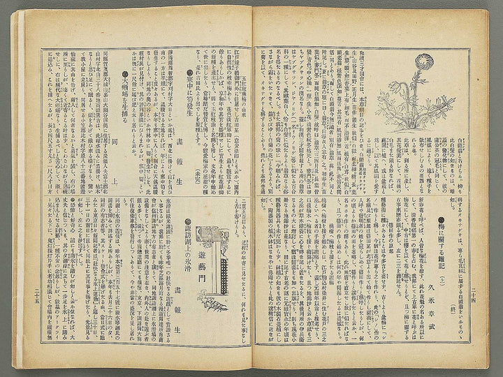 Fuzoku gaho Volume 379 / BJ348-502