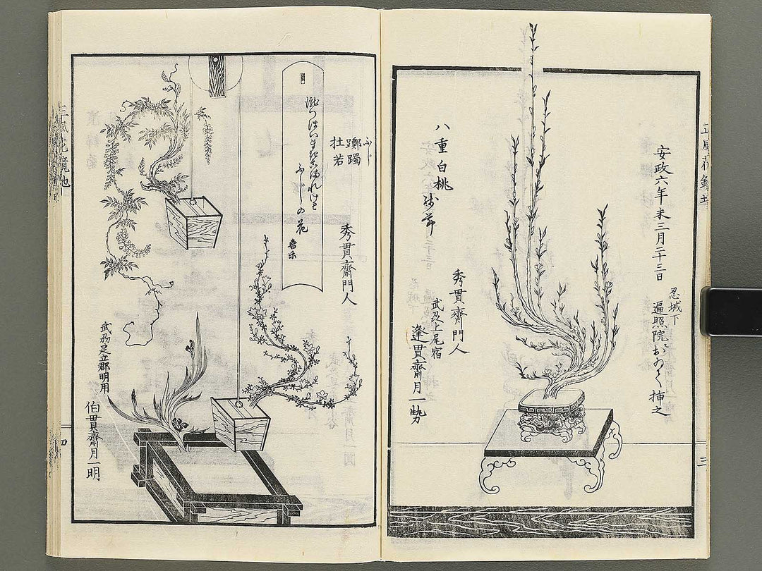 Soka bonseki shofu hana kagami Chi (Part 2 of 3) / BJ352-898