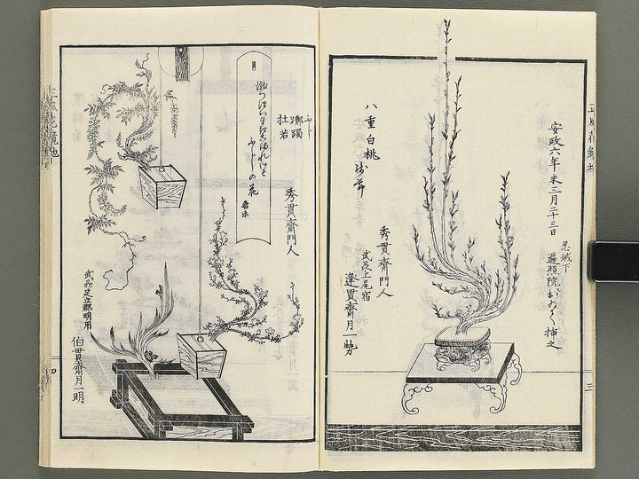 Soka bonseki shofu hana kagami Chi (Part 2 of 3) / BJ352-898