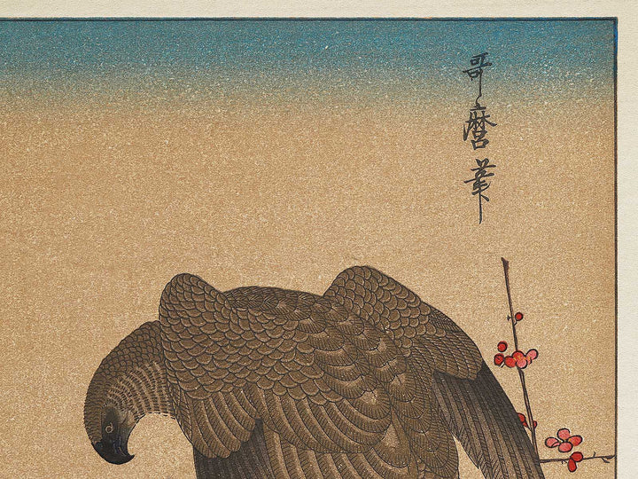 Hawk and Shrike from the series Momotidori kyoka awase by Kitagawa Utamaro, (Large print size) / BJ306-936