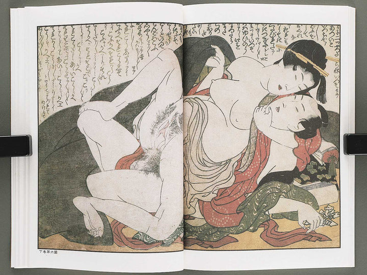 Ezoshi Tamakazura Volume 12 by Katsushika Hokusai / BJ346-486