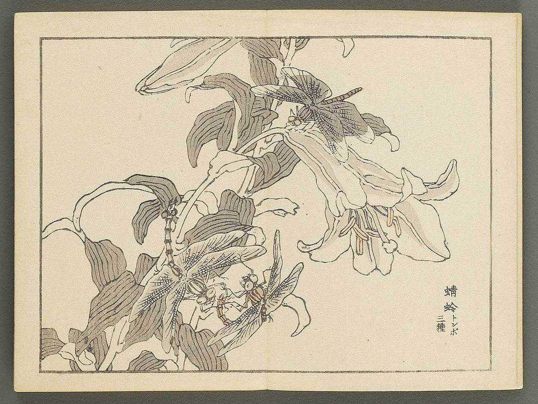 Bairei gafu (Churui no bu) by Kono Bairei / BJ351-120