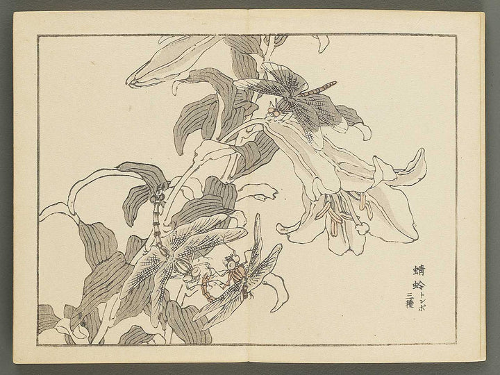 Bairei gafu (Churui no bu) by Kono Bairei / BJ351-120