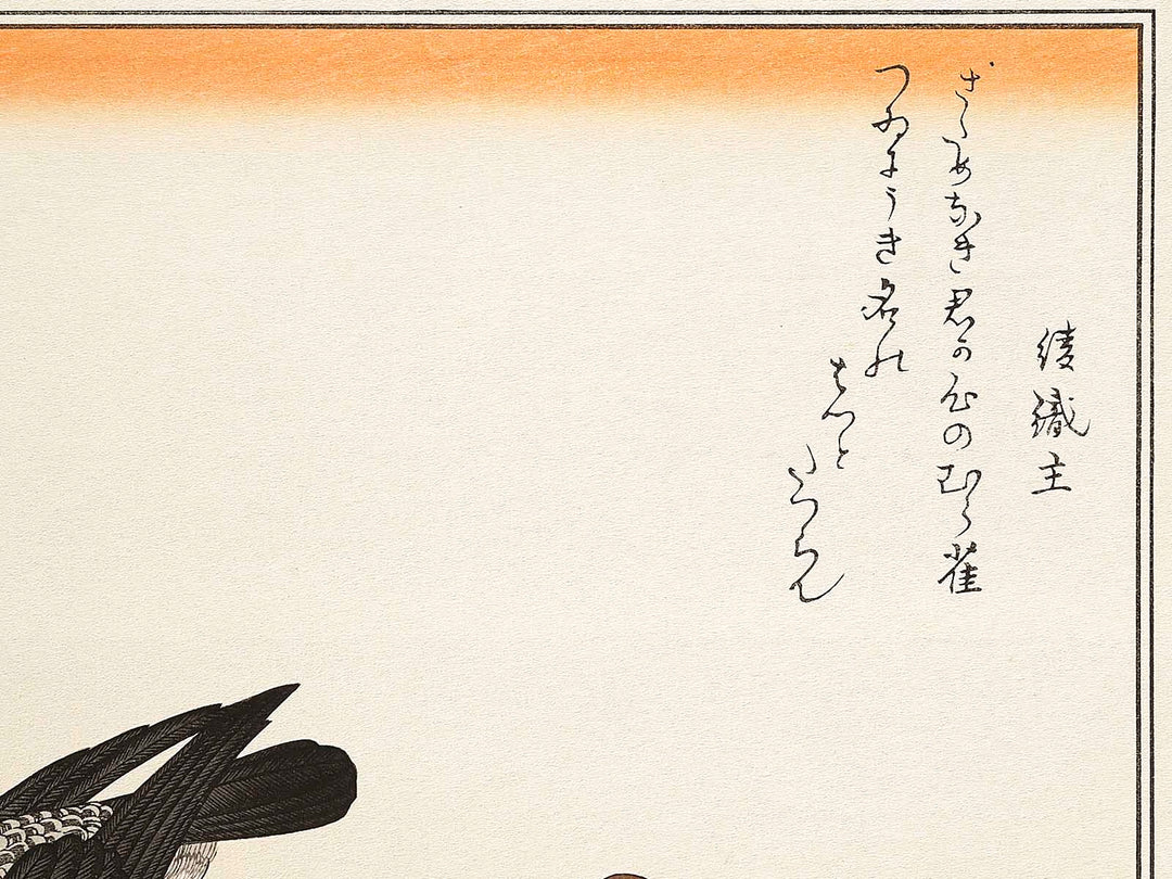 A flock of sparrows and Dove from the series Momochidori kyokaawase by Kitagawa Utamaro, (Large print size) / BJ328-055