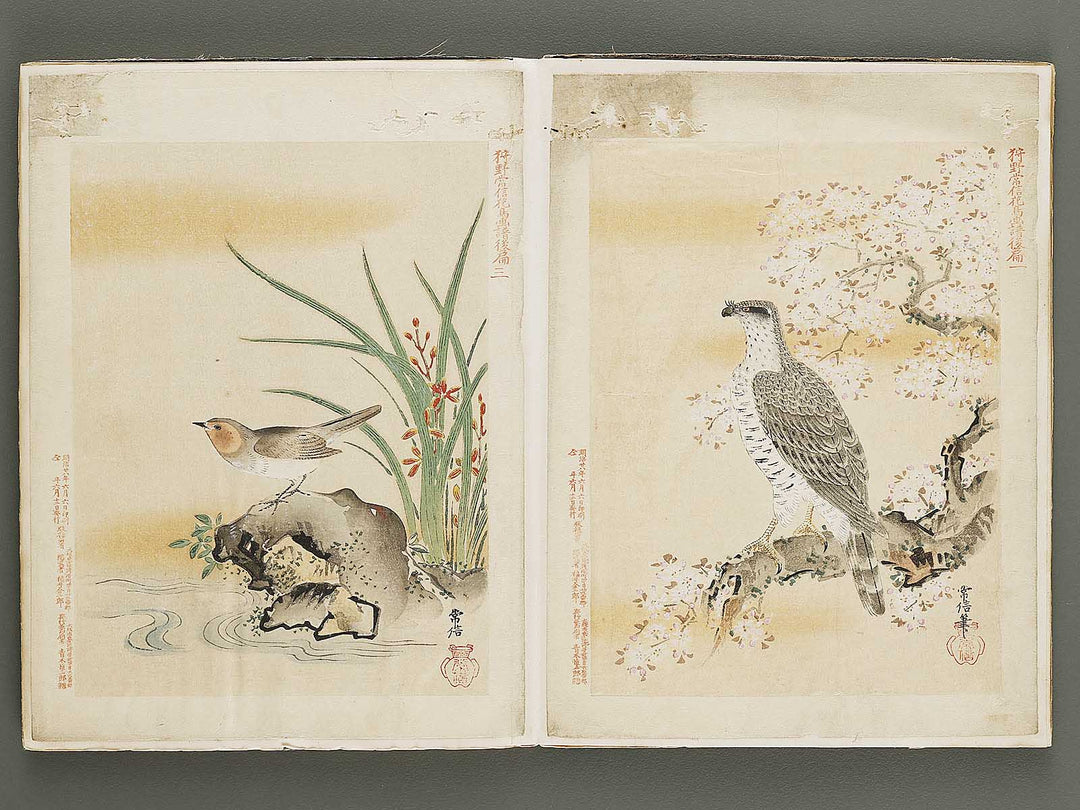 Gacho by Kano-school / BJ324-044