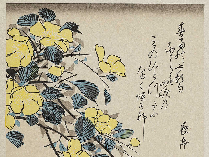 Japanese mountain rose and frog by Utagawa Hiroshige, (Medium print size) / BJ328-069