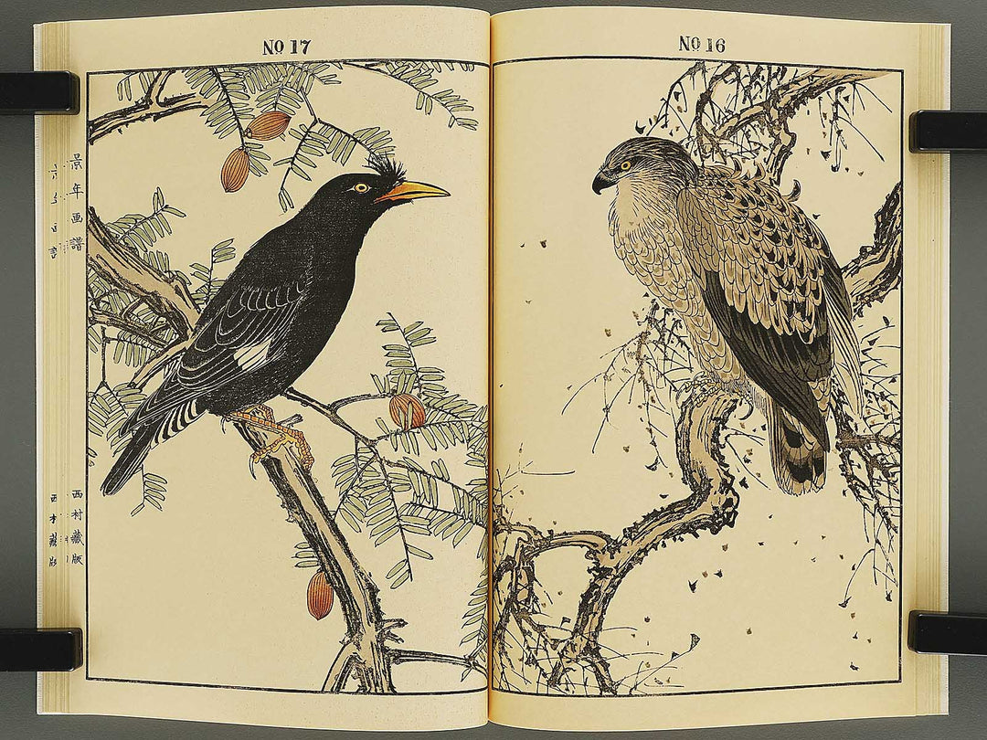 Keinen kacho gafu (fuyu no bu) by Imao Keinen / BJ337-834