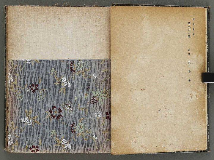 Yushu sarasa / BJ328-510