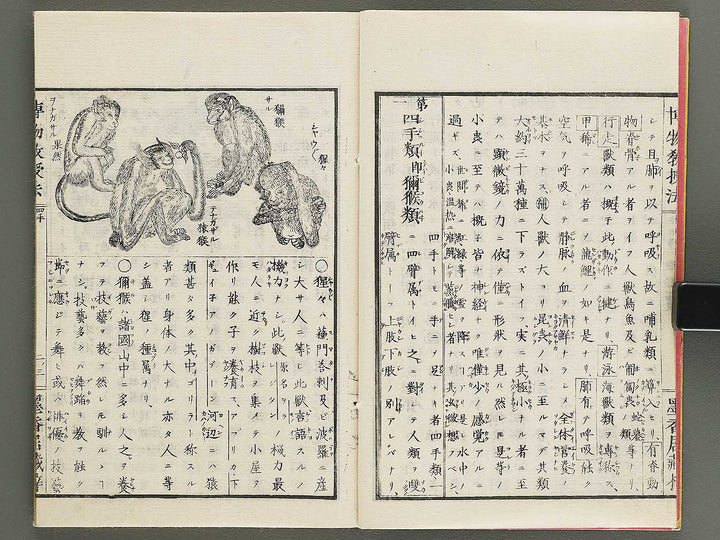 Hakubutsu kyojyuho Volume 2 / BJ341-579