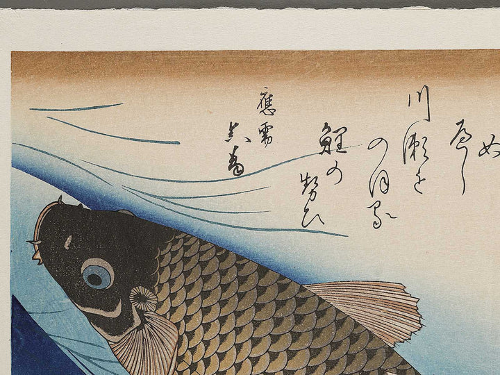 Japanese Carp from the series the series fish by Utagawa Hiroshige, (Large print size) / BJ325-619