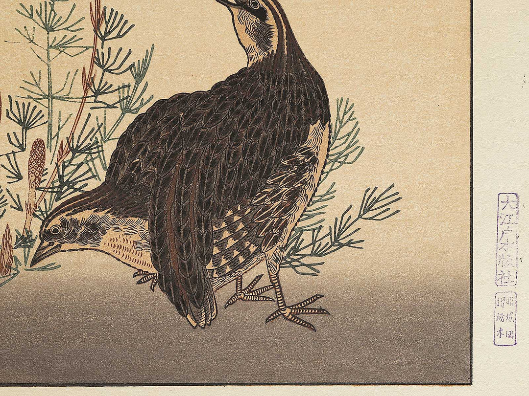 Quail and Skylark from the series Momotidori kyoka awase by Kitagawa Utamaro, (Large print size) / BJ306-887