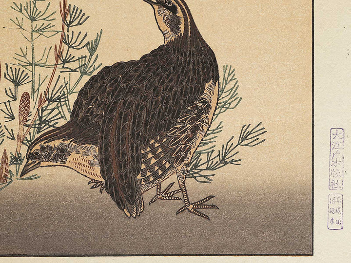 Quail and Skylark from the series Momotidori kyoka awase by Kitagawa Utamaro, (Large print size) / BJ306-887