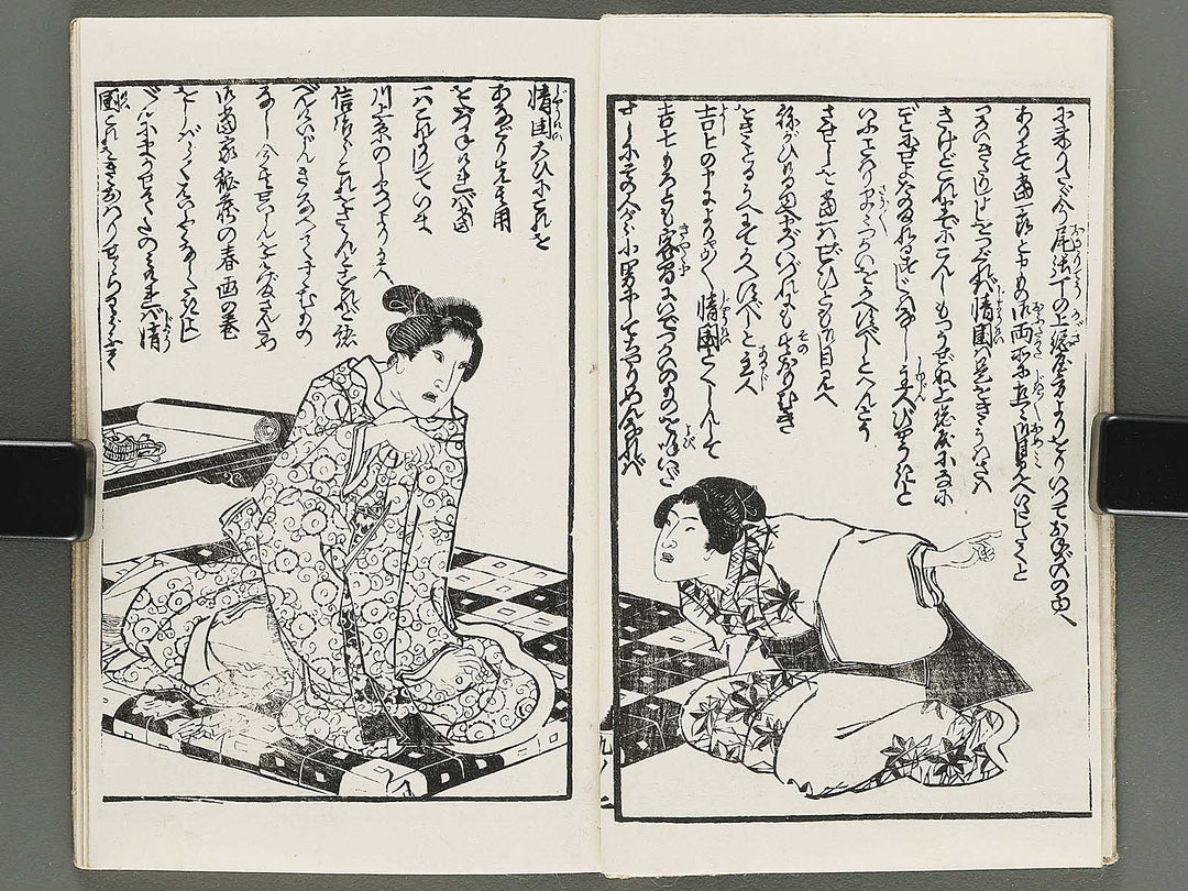 Insho kaiko ki Volume 9 by Utagawa Yoshikazu / BJ295-071