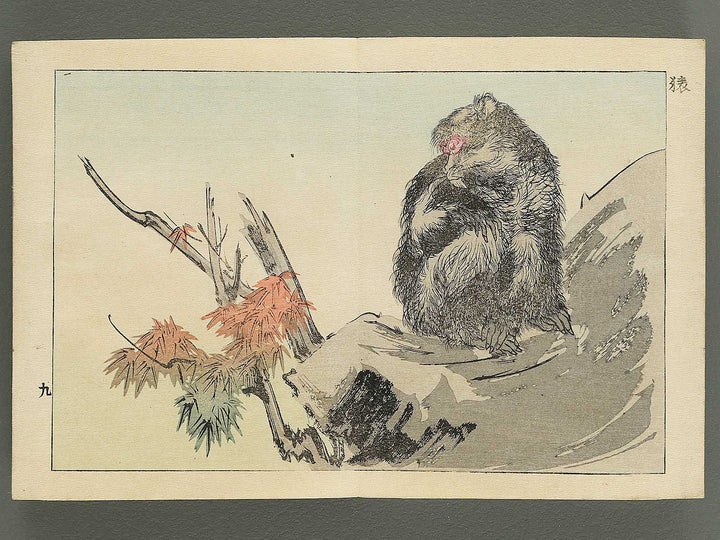 Saisyoku ehon kyoiku mukashi banashi, Kemono zukushi / BJ346-794