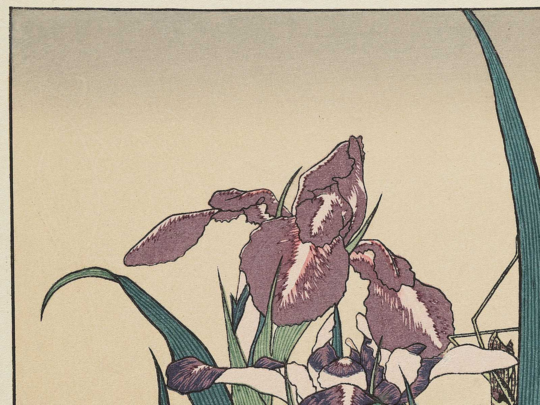 Iris and Grasshopper by Katsushika Hokusai, (Medium print size) / BJ327-432