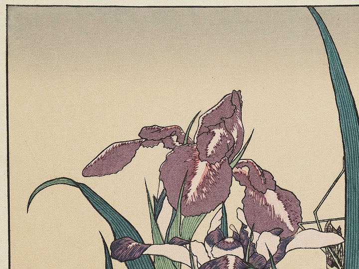 Iris and Grasshopper by Katsushika Hokusai, (Medium print size) / BJ327-432
