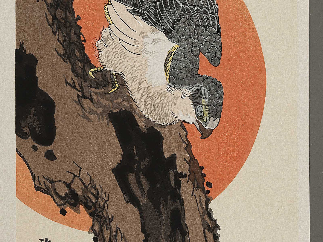 Hinode ni matsu ni taka by Utagawa Hiroshige, (Medium print size) / BJ328-195