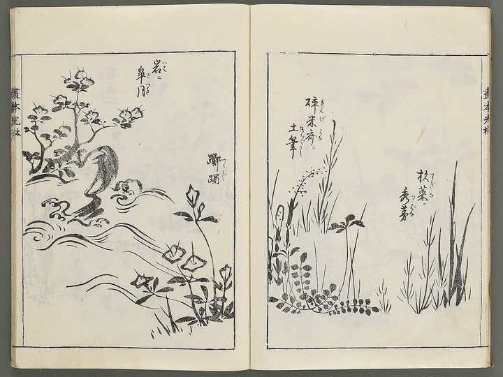 Korin michishirube by Nonomura Chubee / BJ351-134