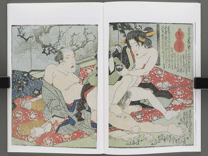 Koi no kakehashi (Chu) by Yanagawa Shigenobu / BJ346-556