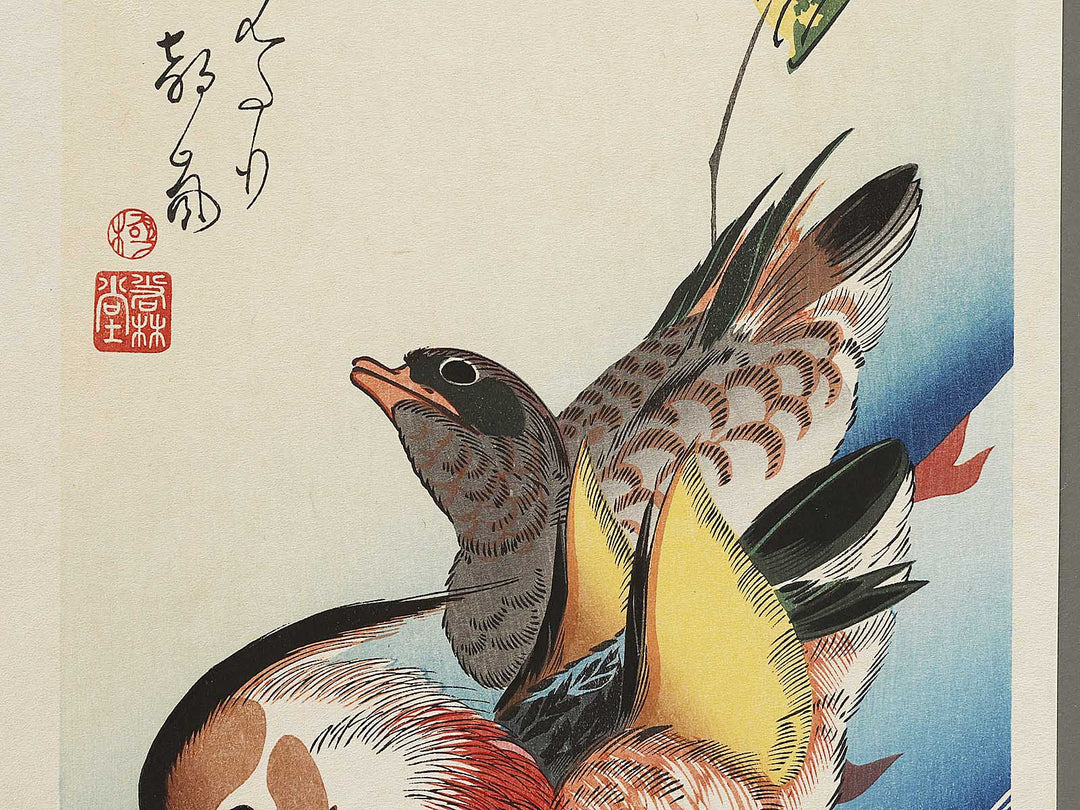 Mandarin duck  by Utagawa Hiroshige, (Medium print size) / BJ328-076