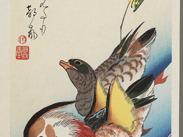 Mandarin duck  by Utagawa Hiroshige, (Medium print size) / BJ328-076