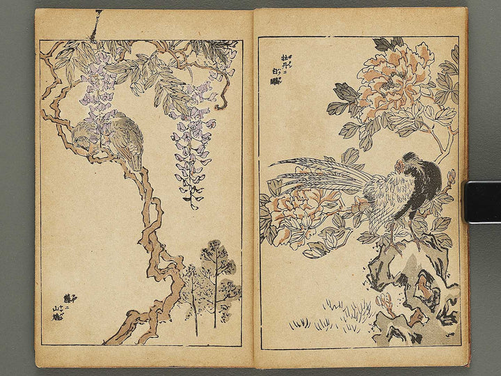 Kacho gafu by Adachi Ginko / BJ333-438