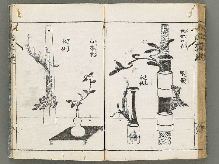 Ikebana hayamanabi / BJ331-275