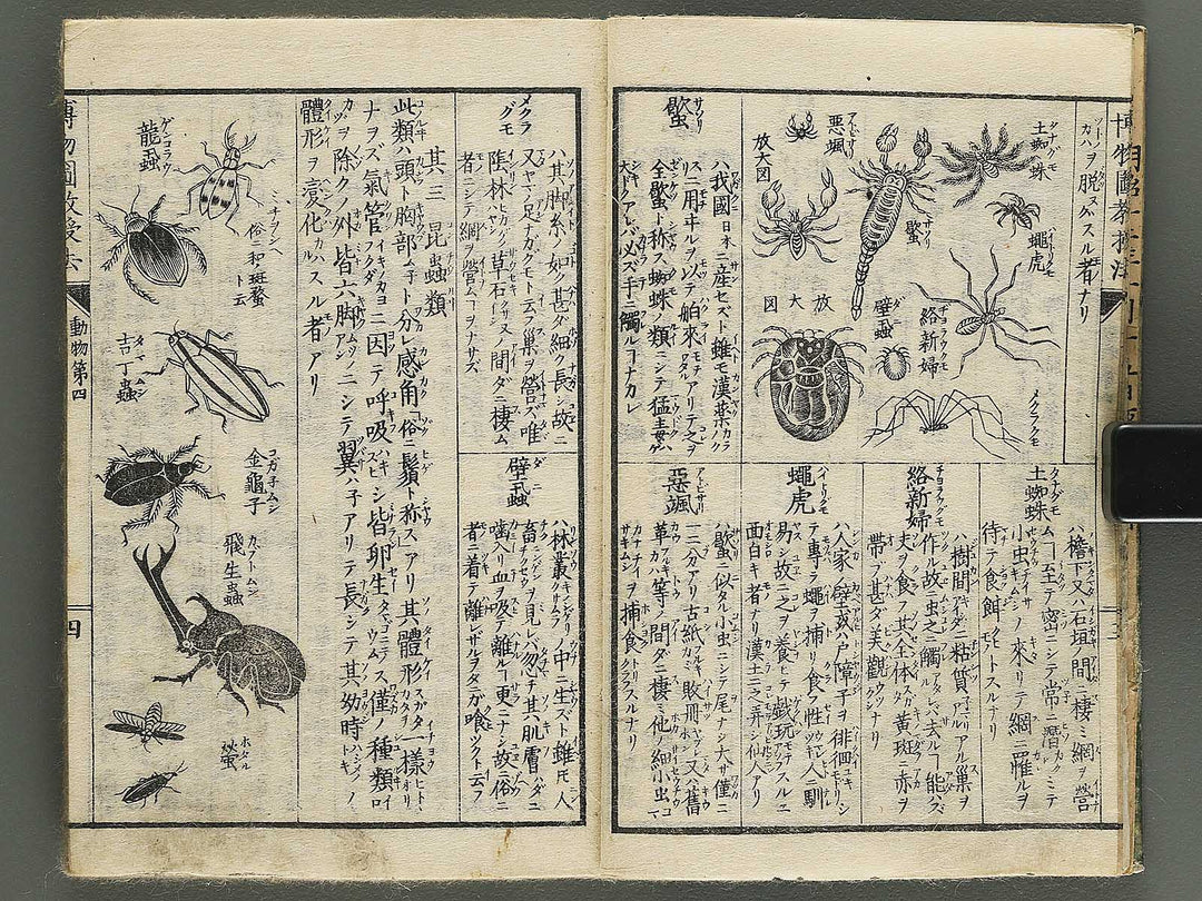 Hakubutsu kyojyuho Volume 4-5 by           / BJ344-729