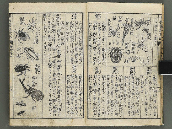 Hakubutsu kyojyuho Volume 4-5 by           / BJ344-729