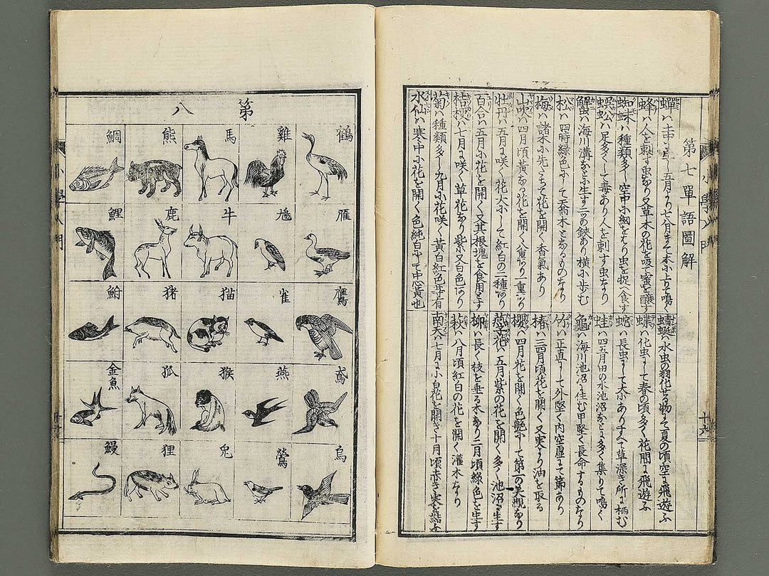 Shogaku nyumon / BJ347-907