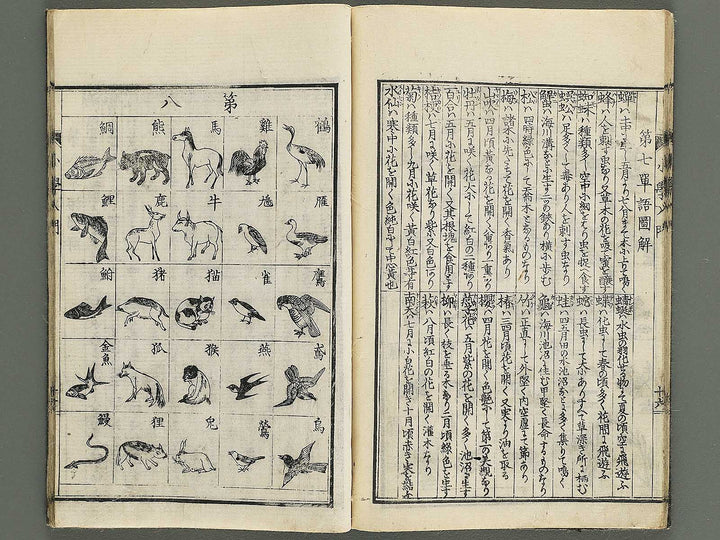Shogaku nyumon / BJ347-907