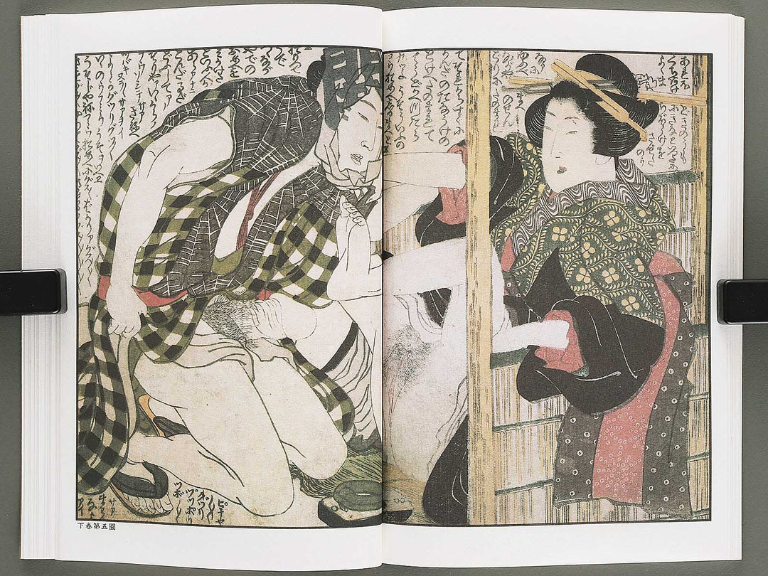 Ezoshi Tamakazura Volume 12 by Katsushika Hokusai / BJ346-486
