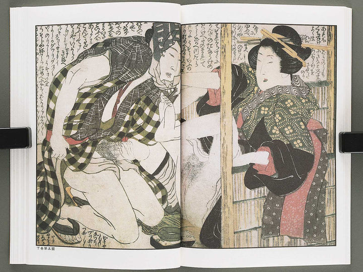 Ezoshi Tamakazura Volume 12 by Katsushika Hokusai / BJ346-486